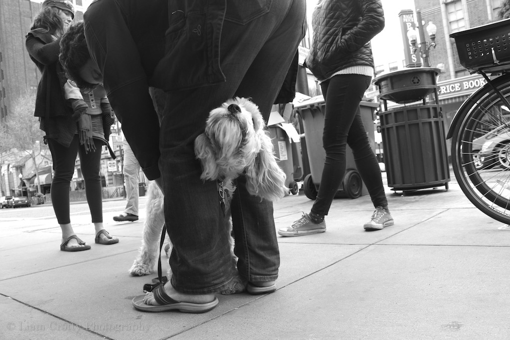 A dog’s perspective – Street photography in Berkeley, CA